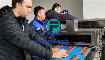 Breakthrough Innovation: Brasilianska näringsmärke testar anpassade P400 Frui...